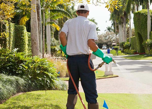 About Rogerson ID Pest Control